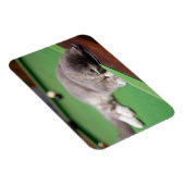 Keukenpoel Magneet (Rechterzijde)