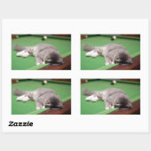 Keukenpoel Rechthoekige Sticker (Vel)