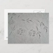 Keukenpoot en vogelsporen in de sneeuw - briefkaar briefkaart (Voorkant / Achterkant)