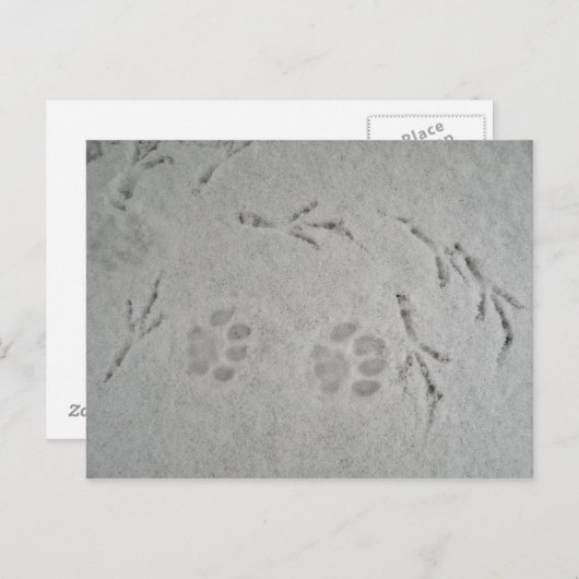 Keukenpoot en vogelsporen in de sneeuw - briefkaar briefkaart (Voorkant / Achterkant)