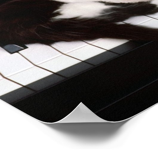 KeukenPoster Poster (Hoek)