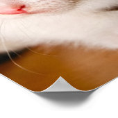 Keukenposter Poster (Hoek)