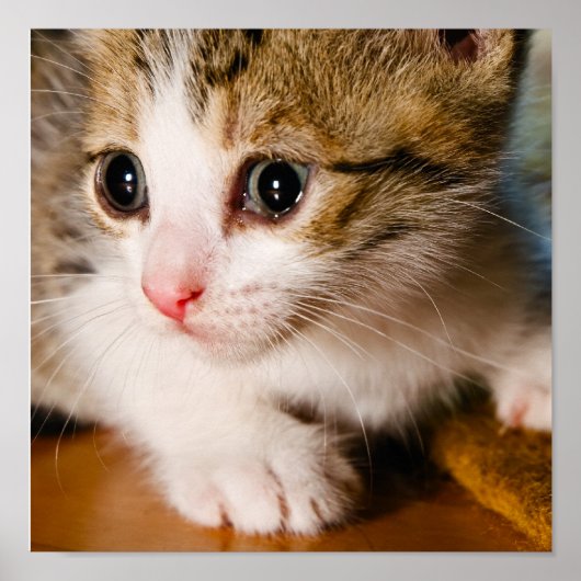 Keukenposter Poster (Voorkant)