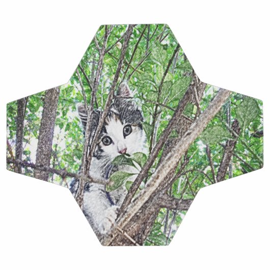 Keukenpotloodtekening Voetbal (Enkel)