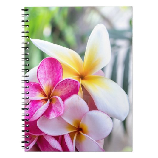 keukenrecept voor orchidee, opal-Hawaiiaanse bloem Notitieboek (Voorkant)