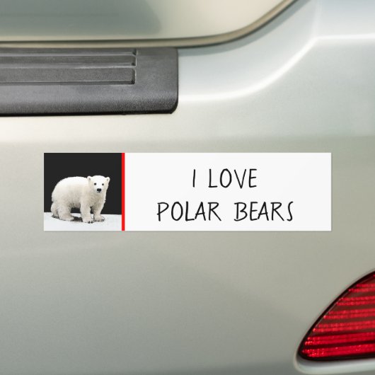 Keukenschilderij van polair Beer - Oorspronkelijke Bumpersticker (Op auto)