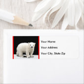 Keukenschilderij van polair Beer - Oorspronkelijke Etiket (Insitu)