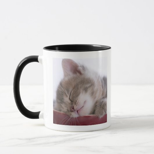 Keukenslaapje in Bowl 2 Mok (Links)