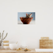 Keukenslaapje in een Bowl Poster (Keuken)