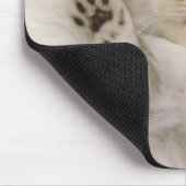 Keukenslaapje op een witte vloertapijt, hoog muismat (Hoek)