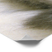 Keukenslaapje op een witte vloertapijt, hoog poster (Hoek)