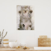 Keukenslaapje op een witte vloertapijt, hoog poster (Keuken)