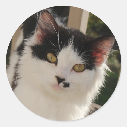 Keukensticker Ronde Sticker (Voorkant)