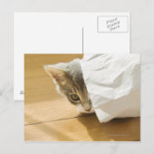 Keukenverberg in papieren zak briefkaart (Voorkant / Achterkant)