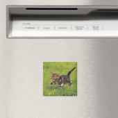 Keukenverkenning van gras magneet (Insitu (Vaatwasser))