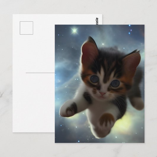 Keukenvliegen in de ruimte briefkaart (Voorkant / Achterkant)