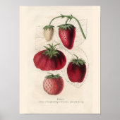  Keukenwandkunst Poster (Voorkant)