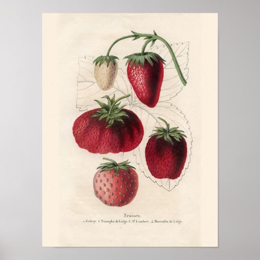  Keukenwandkunst Poster (Voorkant)