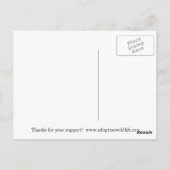 Keur een Koala goed! Briefkaart (Achterkant)