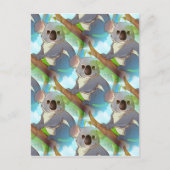 Keur een Koala goed! Briefkaart (Voorkant)