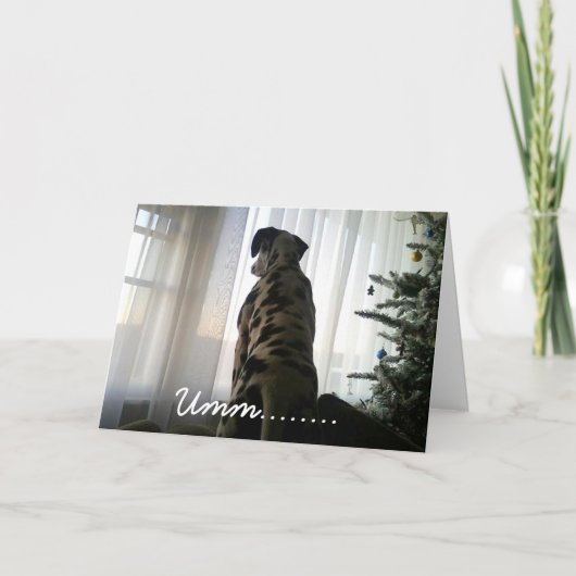 Keurig Dalmation Feestdagen Kaart (Voorkant)