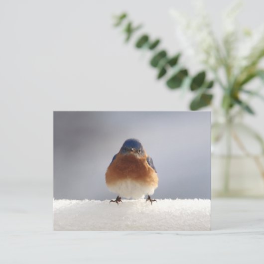 Keurige Blauwe Vogel Feestdagenkaart (Staand voorkant)