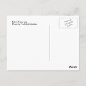 Keuten dicht briefkaart (Achterkant)