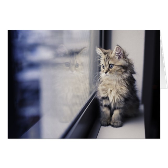 Keuten die uit Venster kijken (Voorkant Horizontaal)