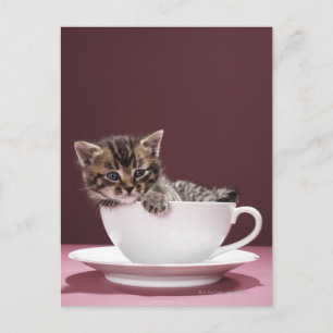Keuten in beker en saucer briefkaart