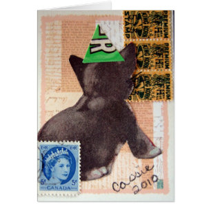 Keuten in een Pet van een partij