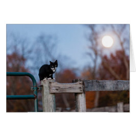 Keuten onder volle maan