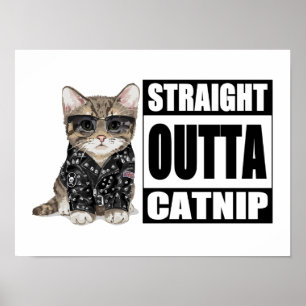 Keuten recht buiten Catnip Poster