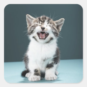 Keuten Vierkante Sticker