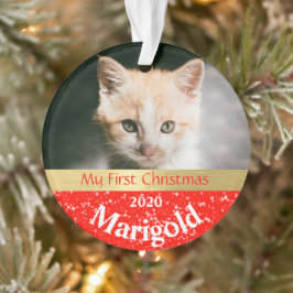 Keuten's eerste kerstfotoornament ornament