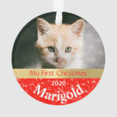 Keuten's eerste kerstfotoornament ornament (achterkant)