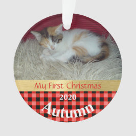 Keuten's eerste kerstfotoornament ornament