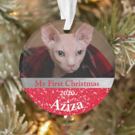 Keuten's eerste kerstfotoornament ornament