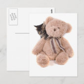 keutens uit tabby met een tedybeer briefkaart (Voorkant / Achterkant)