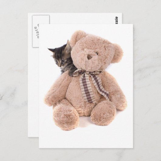 keutens uit tabby met een tedybeer briefkaart (Voorkant / Achterkant)