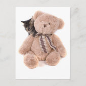 keutens uit tabby met een tedybeer briefkaart (Voorkant)