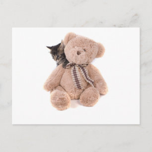 keutens uit tabby met een tedybeer briefkaart
