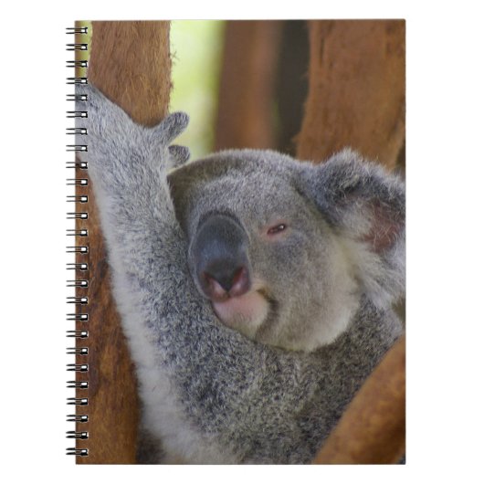 Keuzd Koala Beer-laptop Notitieboek (Voorkant)