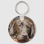 Keuze labrador Retriever close-up foto Sleutelhanger (Voorkant)