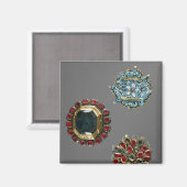 Keuze van broedsels van kostuums magneet (Voorkant / Achterkant)