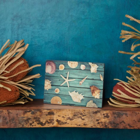 Keuze van de zeeschelpen fotoplaat (Zijkant)