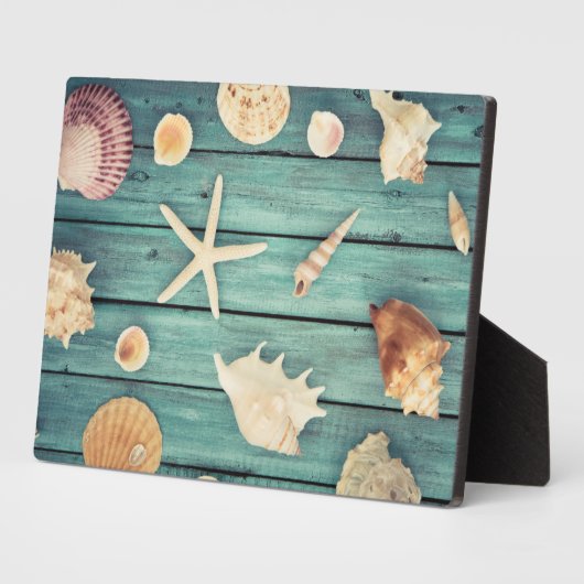 Keuze van de zeeschelpen fotoplaat (Zijkant)