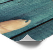 Keuze van de zeeschelpen poster (Hoek)