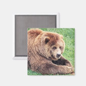 Keuzenbruin Beer foto Magneet (Voorkant / Achterkant)