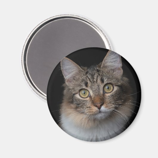 keuzerondje magneet (Voorkant / Achterkant)