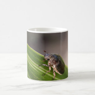 Kever 01 koffiemok